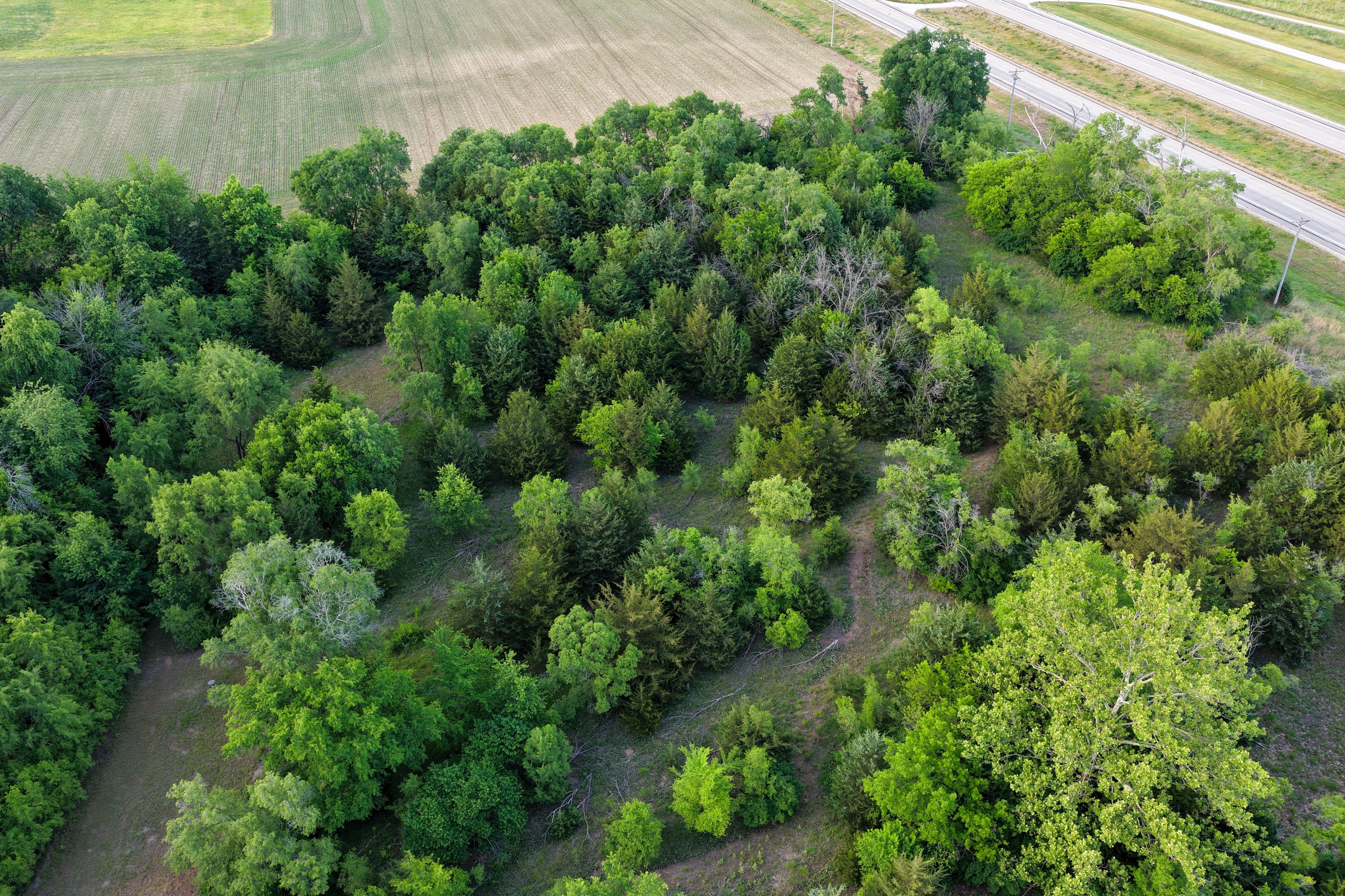 Listing Photo: Small Recreational Land For Sale in Lee County, Iowa-16
